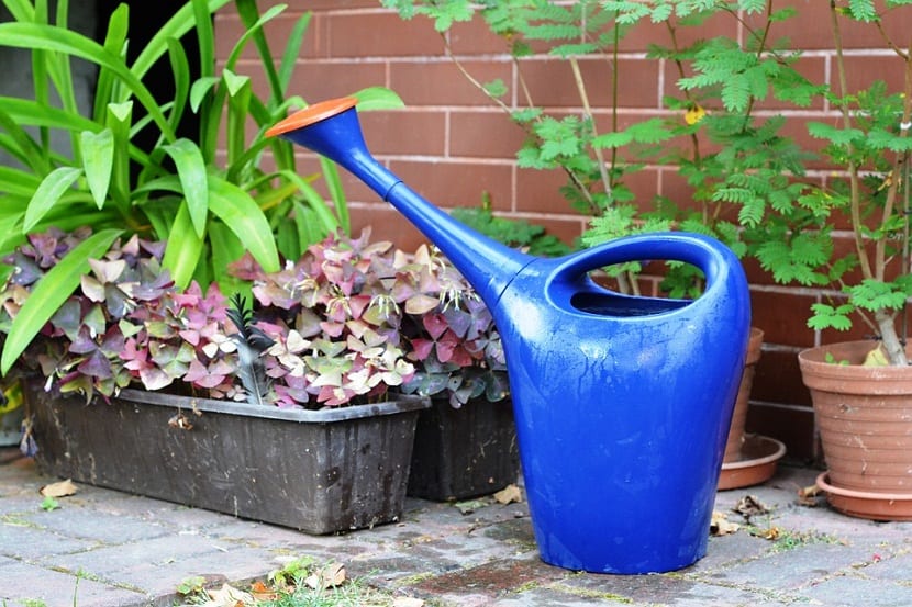 usar hidrogel en las plantas