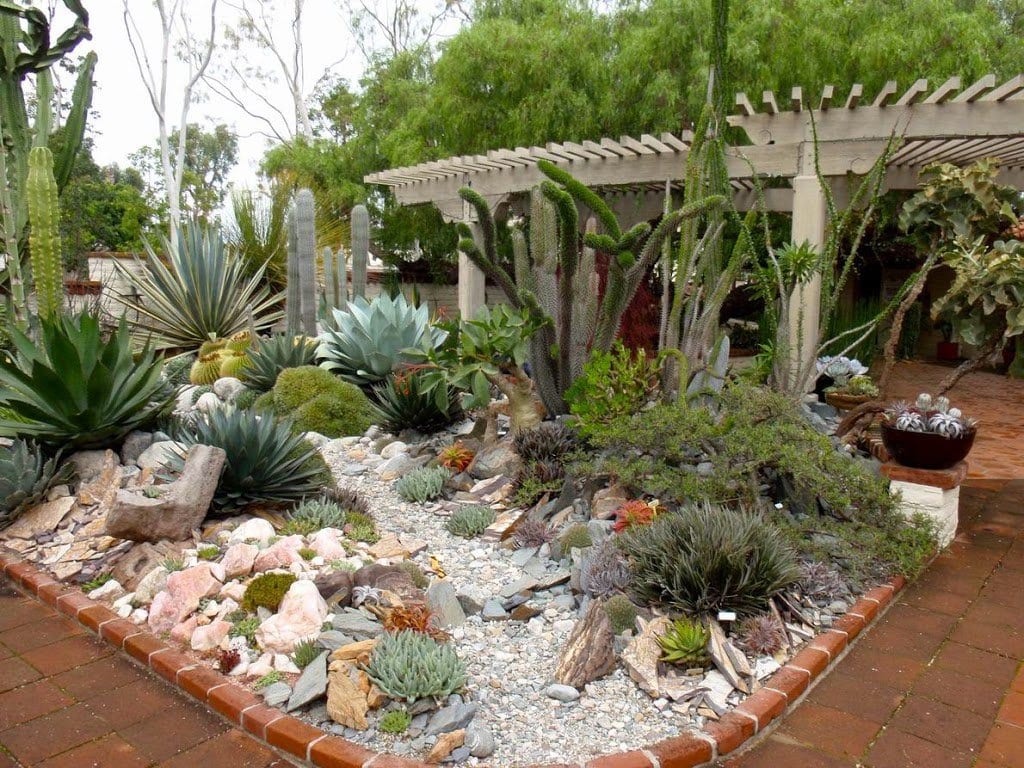 Jardín de cactus y suculentas
