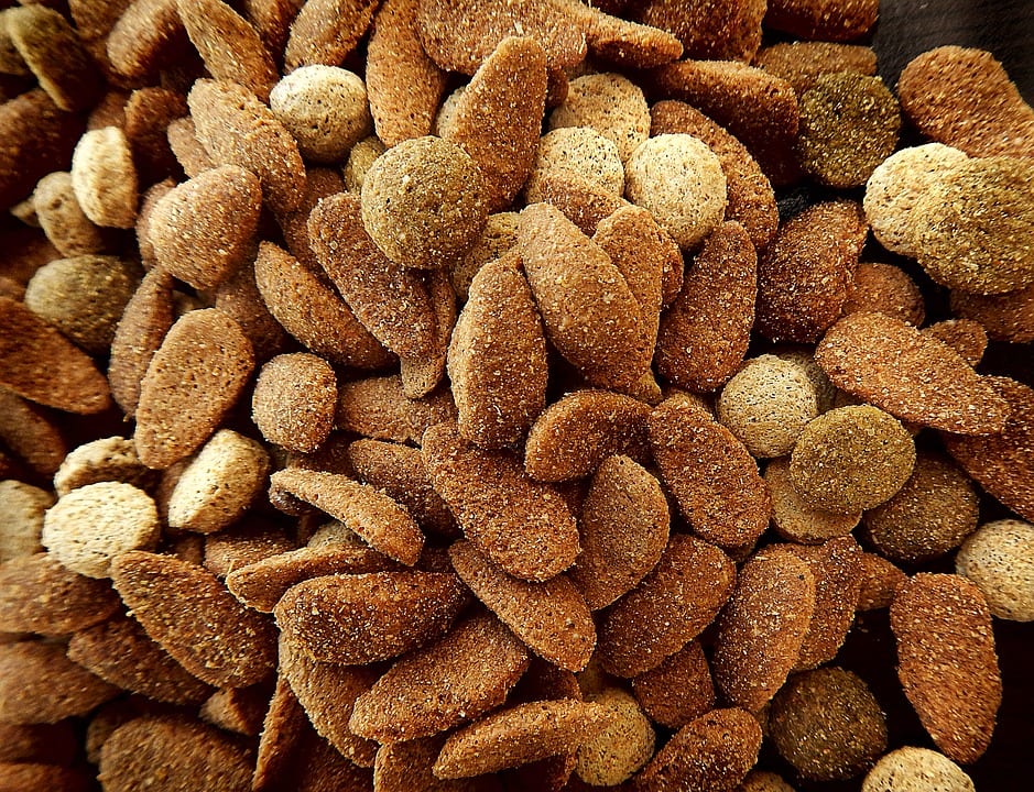 Fertilizantes caseros para rosales: qué aporta cada uno