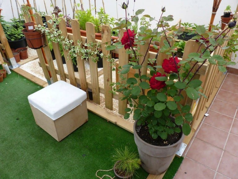 Rosales cultivados en macetas en una terraza