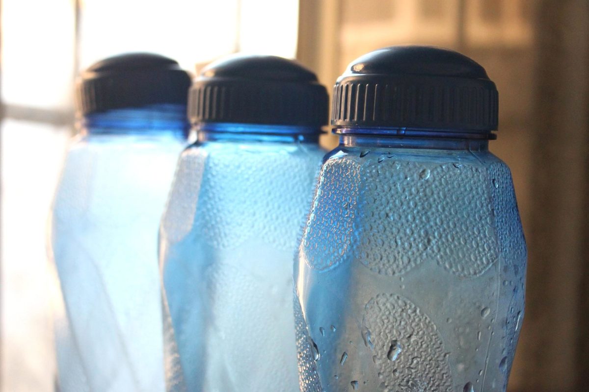 Las botellas de plástico te servirán como regaderas