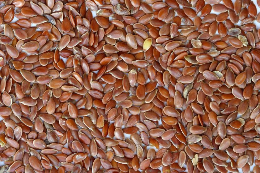 Prueba de germinación: comprueba si tus semillas sirven