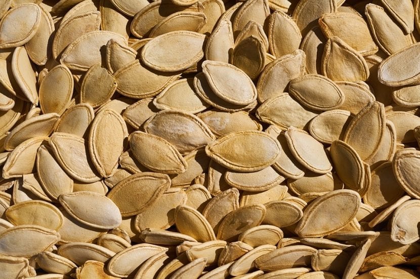 Semillas de calabaza