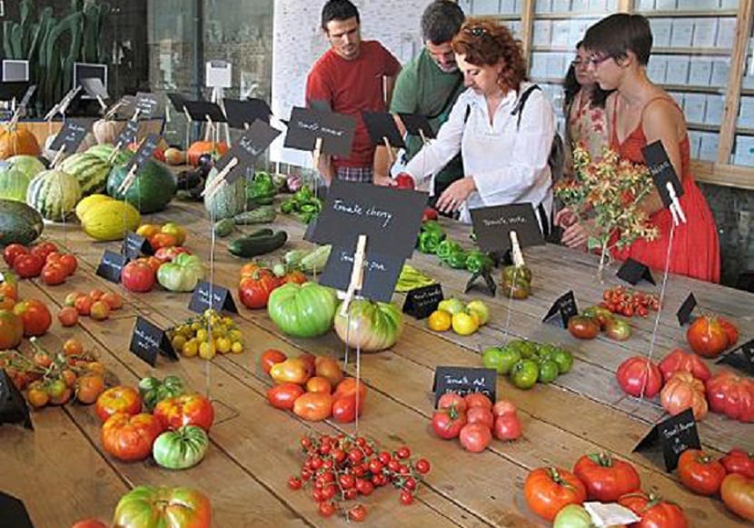 las semillas ecologicas se pueden encontrar ya en cualquier tienda