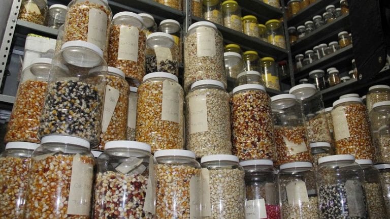 Tarros de conservación de semillas etiquetados