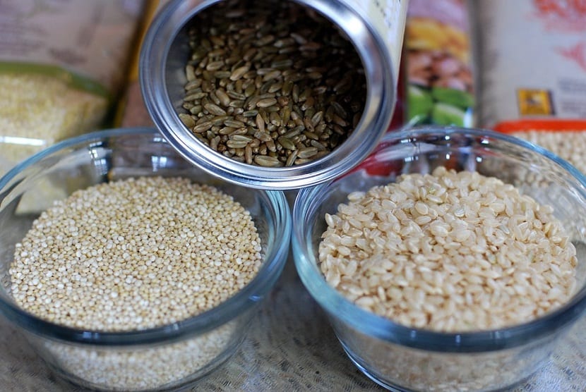 Caracteristicas de la quinoa
