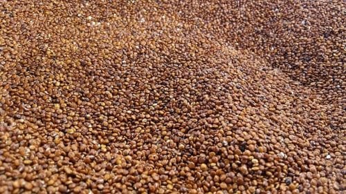 Granos de quinoa blanca y roja