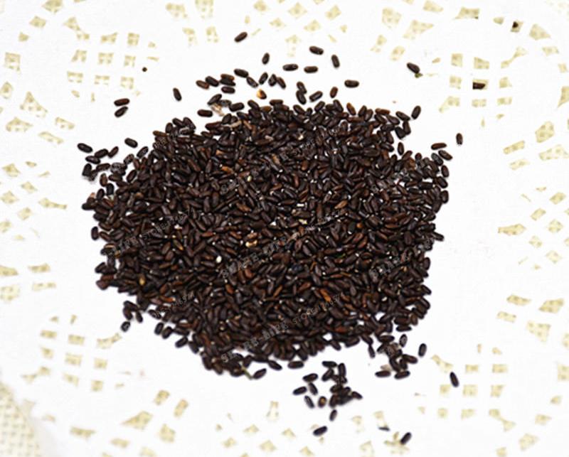 Siembra de semillas de lavanda: cuándo compensa