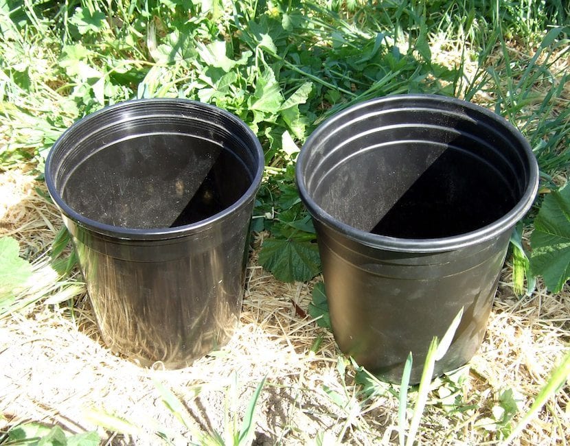 Macetas de plástico para plantas
