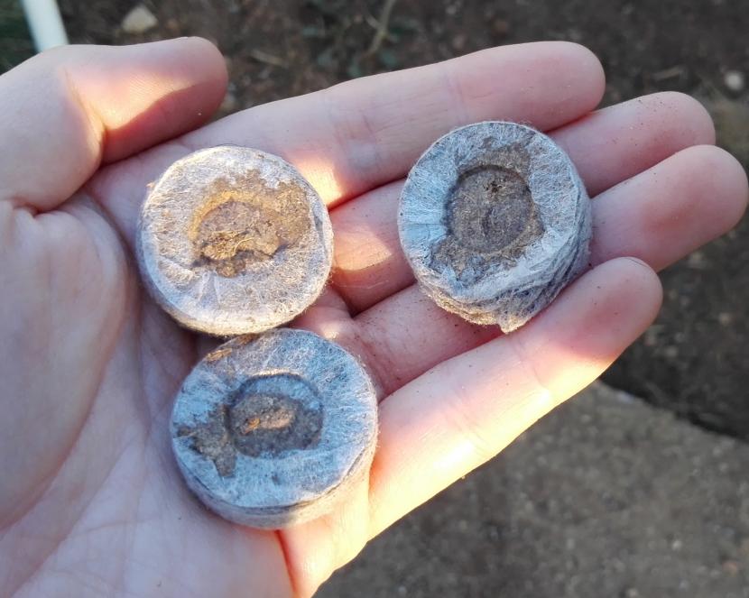 Pastillas de turba