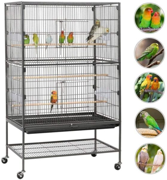 Cómo organizar la jaula para un pájaro: una guía completa