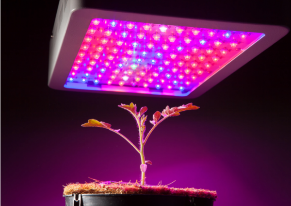  Luces de cultivo en interiores