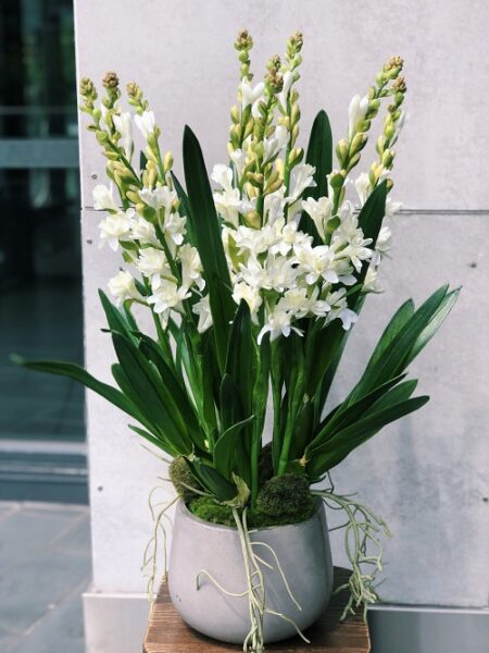 fragancia de flores para interior