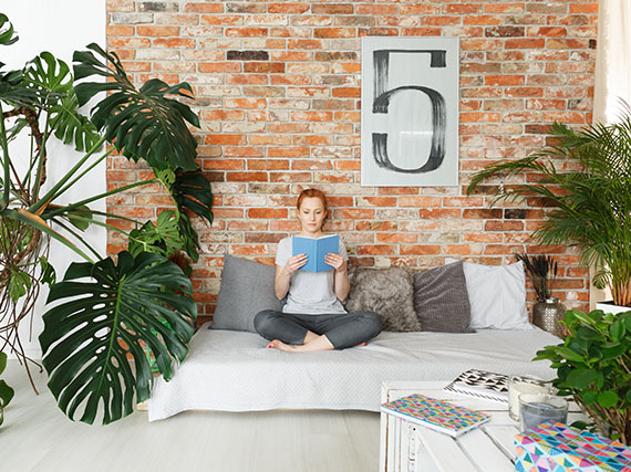 El poder purificador de las plantas está en las raíces