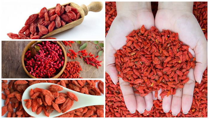 Descripción de las Bayas de goji