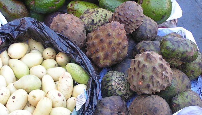 propiedades y beneficios de la anona del perú