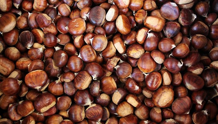 10 Beneficios Y Propiedades De La
Castaña Amazónica