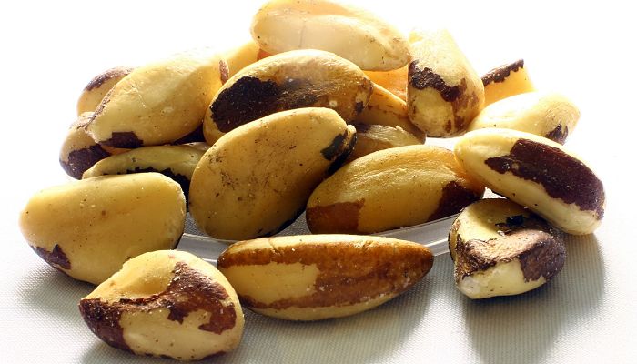 propiedades y beneficios de la castaña del brasil