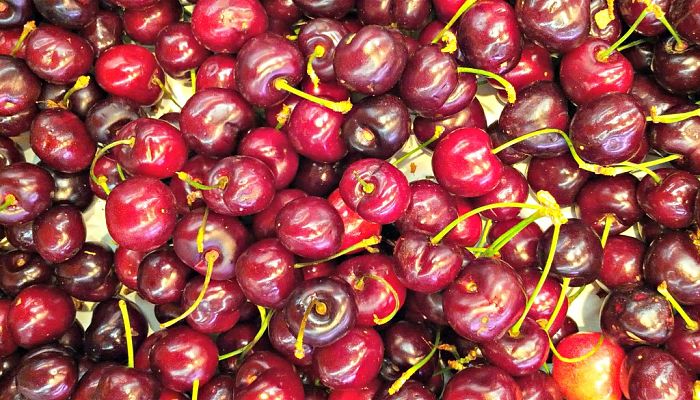 propiedades y beneficios de la cereza