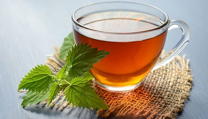 beneficios de la dicentra