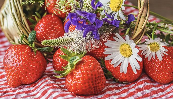 propiedades y beneficios de las fresas