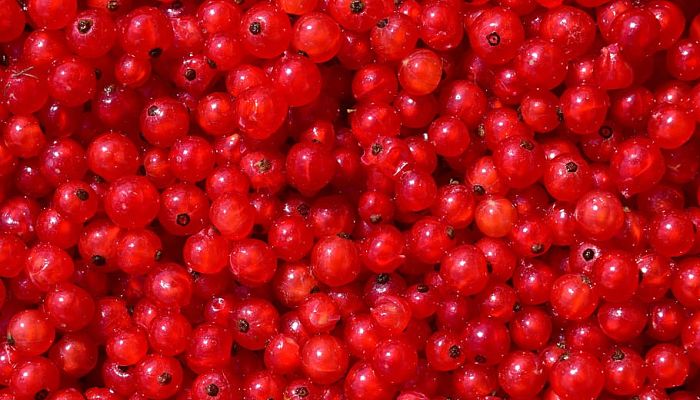 8 Beneficios Y Propiedades De La
Grosella Roja