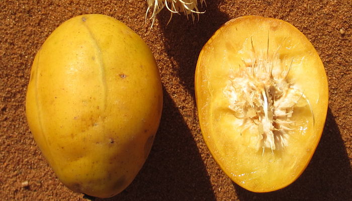propiedades y beneficios de la manzana de oro