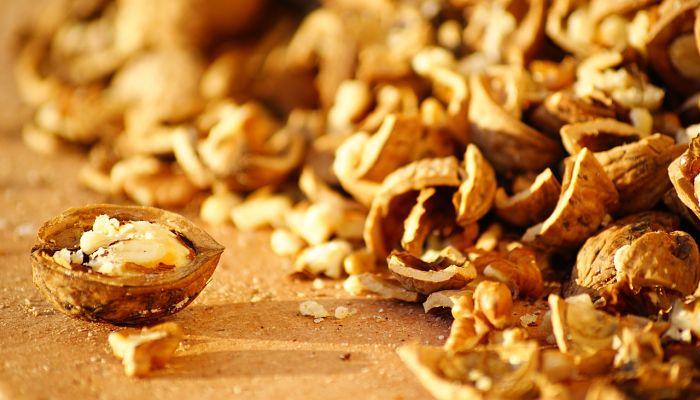 propiedades y beneficios de la nuez de la macadamia