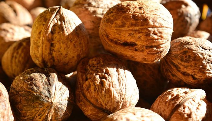 9 Beneficios Y Propiedades De La Nuez
Pará