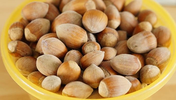 propiedades y beneficios de la nuez del pará