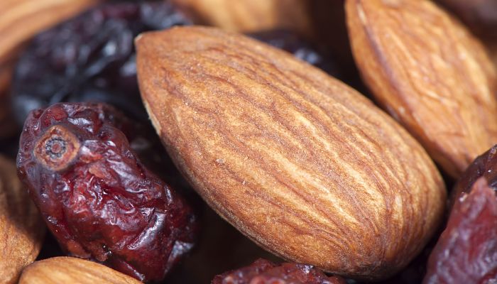 beneficios de la palmera datilera