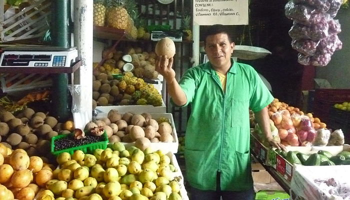 propiedades de la pulmonaria