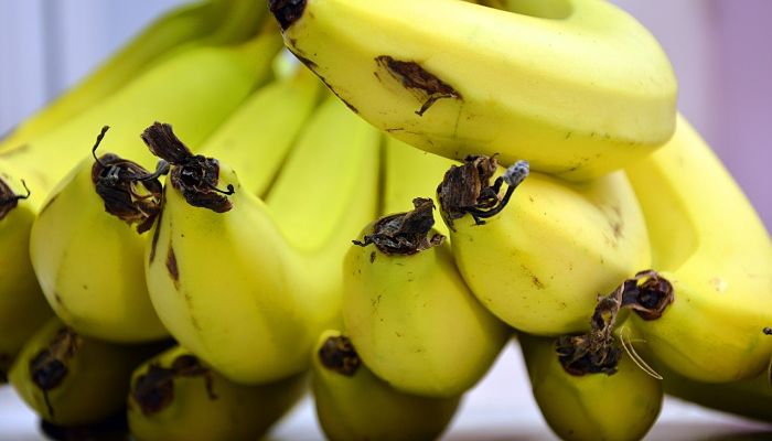 10 Beneficios Y Propiedades De Las
Bananas