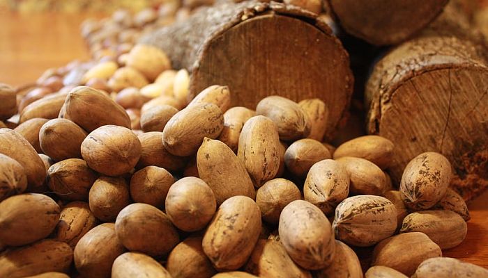 7 Beneficios Y Propiedades De Las Nueces
De Pacana