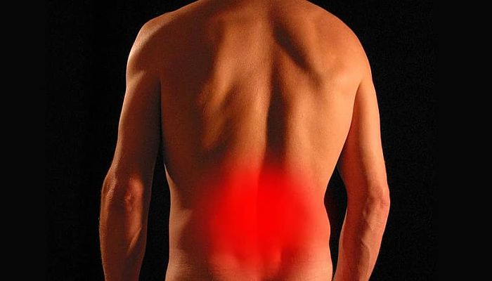 beneficios del aesculus