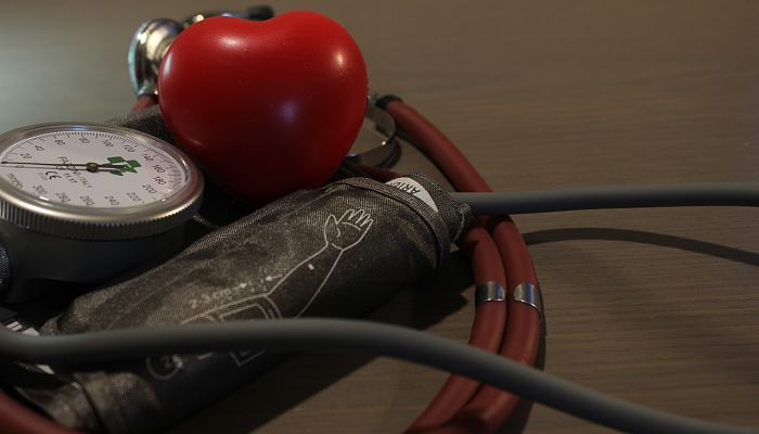 beneficios del aguacatero