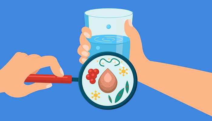 beneficios del allium