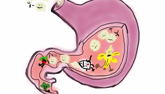 beneficios del almez