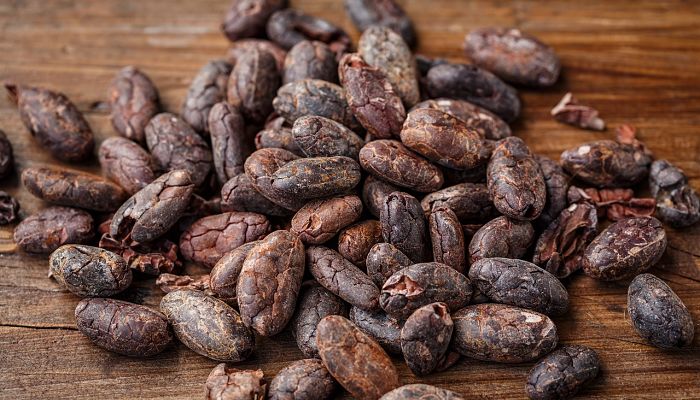 propiedades y beneficios del cacao