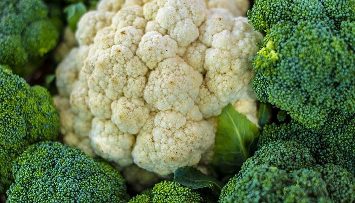 propiedades y beneficios del coliflor