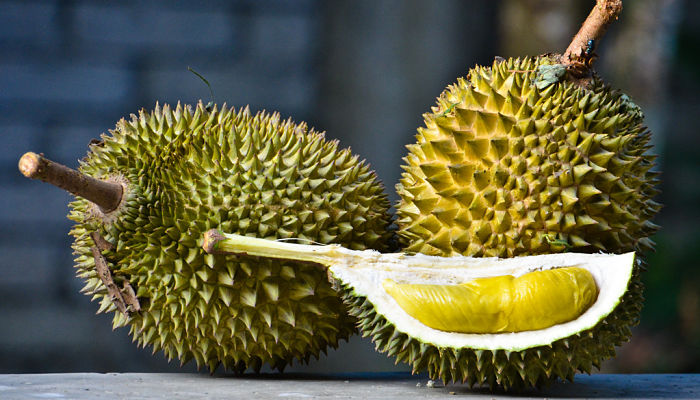 propiedades y beneficios del durian