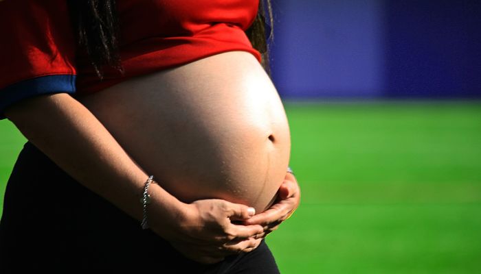 beneficios del grosellero chino