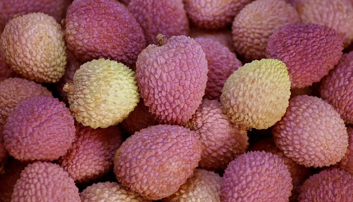 propiedades y beneficios del litchi