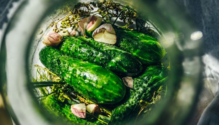 propiedades y beneficios del relleno