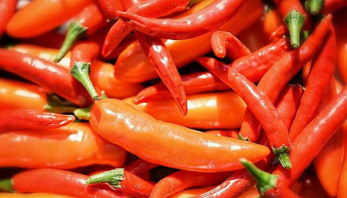 propiedades y beneficios del serrano