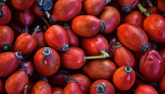 propiedades y beneficios del tamarillo