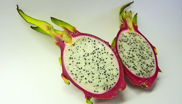 propiedades y beneficios del tasajo