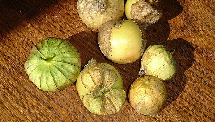 propiedades y beneficios del tomatillo