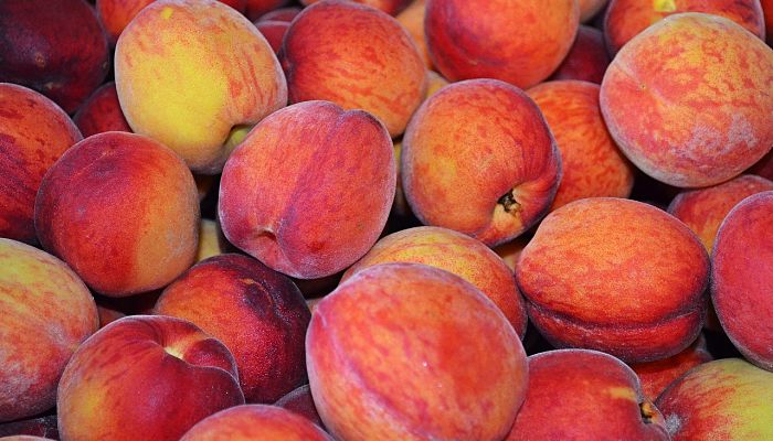 propiedades y beneficios del melocotón