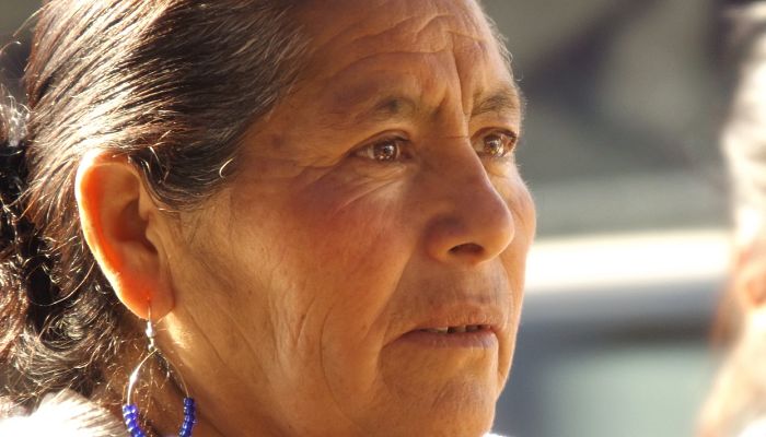 beneficios del alfónsigo
